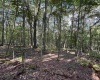 Lots 41 and 42 Day Lily Court, Terra Alta, West Virginia 26764, ,Lots/land,For Sale,Day Lily,10161511