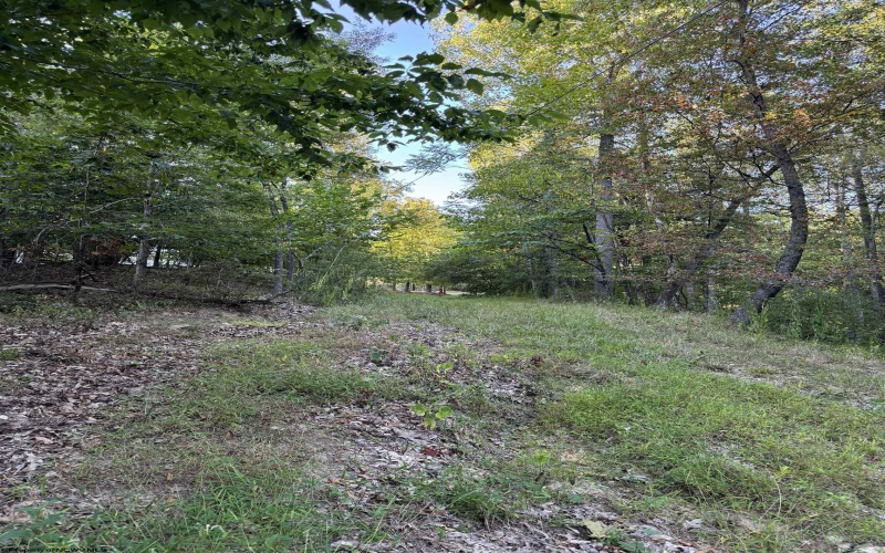 328 Wildwood Drive, Horner, West Virginia 26372, 4 Bedrooms Bedrooms, 10 Rooms Rooms,3 BathroomsBathrooms,Single Family Detached,For Sale,Wildwood,10159794
