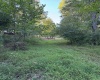 328 Wildwood Drive, Horner, West Virginia 26372, 4 Bedrooms Bedrooms, 10 Rooms Rooms,3 BathroomsBathrooms,Single Family Detached,For Sale,Wildwood,10159794