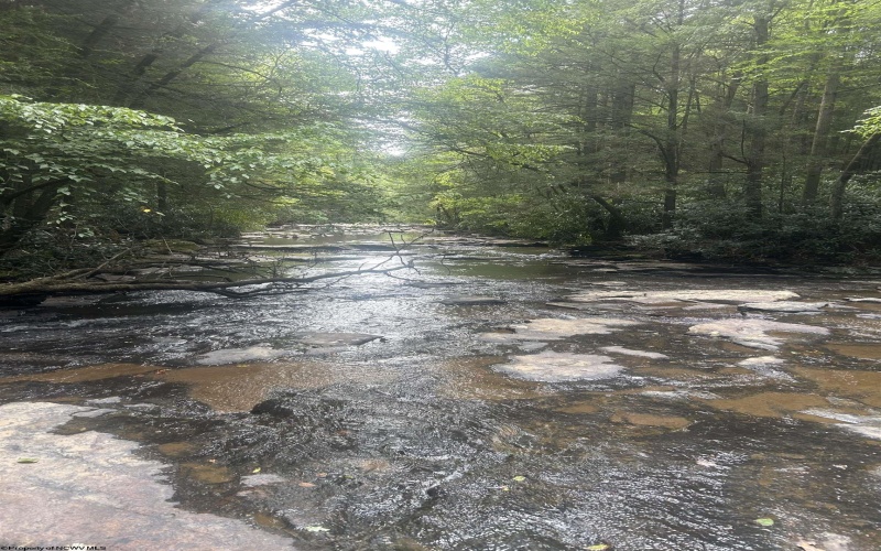 TBD Tom Turner Road, Independence, West Virginia 26374, ,Lots/land,For Sale,Tom Turner,10161532