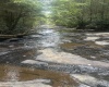 TBD Tom Turner Road, Independence, West Virginia 26374, ,Lots/land,For Sale,Tom Turner,10161532
