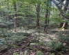 TBD Tom Turner Road, Independence, West Virginia 26374, ,Lots/land,For Sale,Tom Turner,10161532