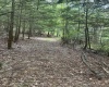 TBD Tom Turner Road, Independence, West Virginia 26374, ,Lots/land,For Sale,Tom Turner,10161532
