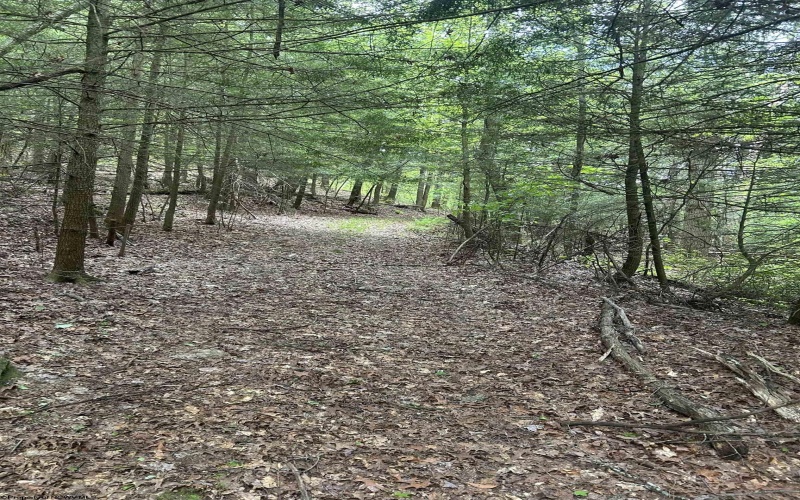 TBD Tom Turner Road, Independence, West Virginia 26374, ,Lots/land,For Sale,Tom Turner,10161532