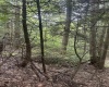 TBD Tom Turner Road, Independence, West Virginia 26374, ,Lots/land,For Sale,Tom Turner,10161532