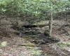 TBD Tom Turner Road, Independence, West Virginia 26374, ,Lots/land,For Sale,Tom Turner,10161532