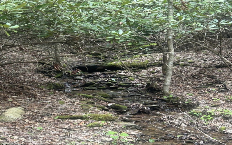 TBD Tom Turner Road, Independence, West Virginia 26374, ,Lots/land,For Sale,Tom Turner,10161532