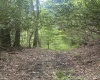 TBD Tom Turner Road, Independence, West Virginia 26374, ,Lots/land,For Sale,Tom Turner,10161532