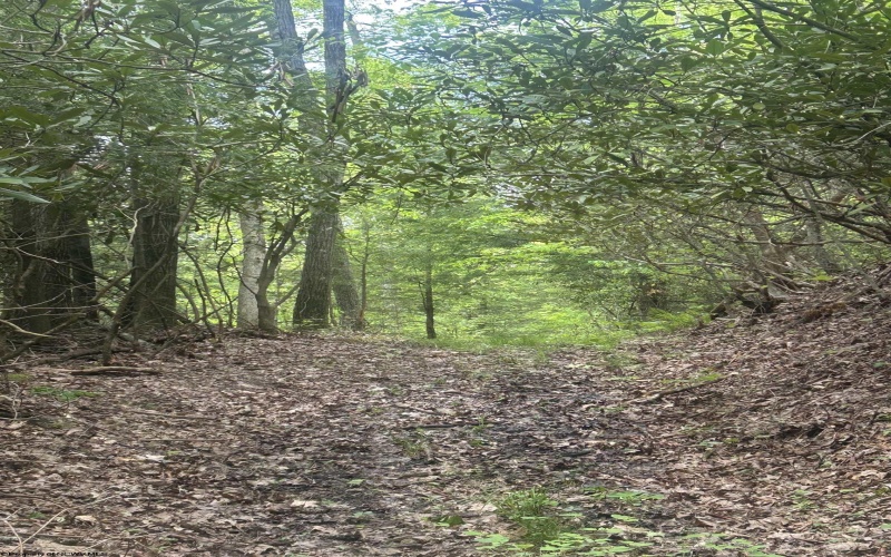 TBD Tom Turner Road, Independence, West Virginia 26374, ,Lots/land,For Sale,Tom Turner,10161532