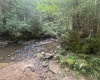 TBD Tom Turner Road, Independence, West Virginia 26374, ,Lots/land,For Sale,Tom Turner,10161532