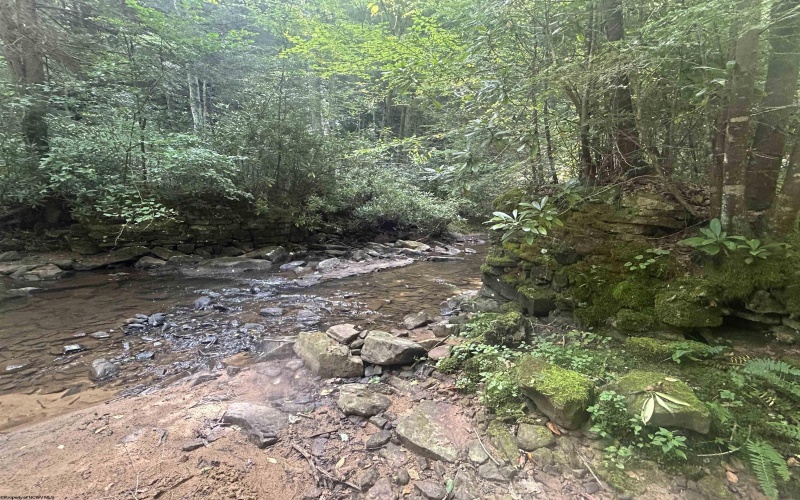 TBD Tom Turner Road, Independence, West Virginia 26374, ,Lots/land,For Sale,Tom Turner,10161532