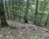 TBD Tom Turner Road, Independence, West Virginia 26374, ,Lots/land,For Sale,Tom Turner,10161532