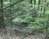 TBD Tom Turner Road, Independence, West Virginia 26374, ,Lots/land,For Sale,Tom Turner,10161532