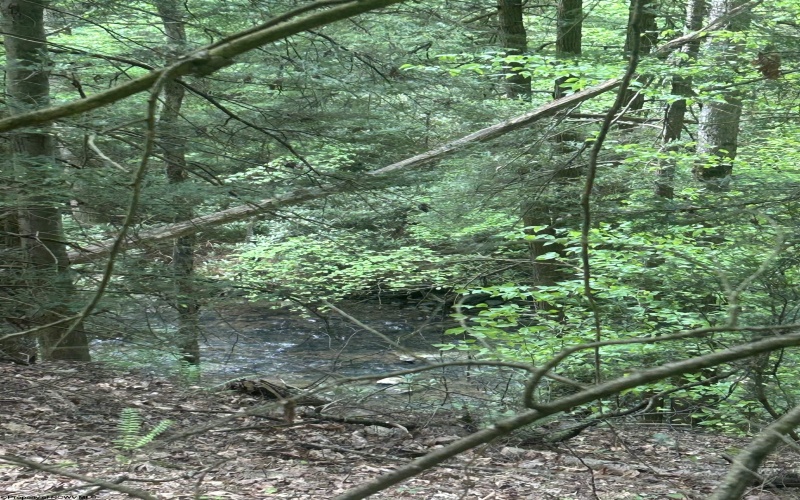 TBD Tom Turner Road, Independence, West Virginia 26374, ,Lots/land,For Sale,Tom Turner,10161532
