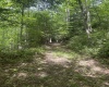 TBD Tom Turner Road, Independence, West Virginia 26374, ,Lots/land,For Sale,Tom Turner,10161532
