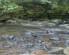 TBD Tom Turner Road, Independence, West Virginia 26374, ,Lots/land,For Sale,Tom Turner,10161532