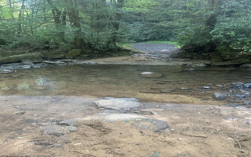 TBD Tom Turner Road, Independence, West Virginia 26374, ,Lots/land,For Sale,Tom Turner,10161532