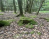 TBD Tom Turner Road, Independence, West Virginia 26374, ,Lots/land,For Sale,Tom Turner,10161532