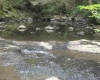 TBD Tom Turner Road, Independence, West Virginia 26374, ,Lots/land,For Sale,Tom Turner,10161532