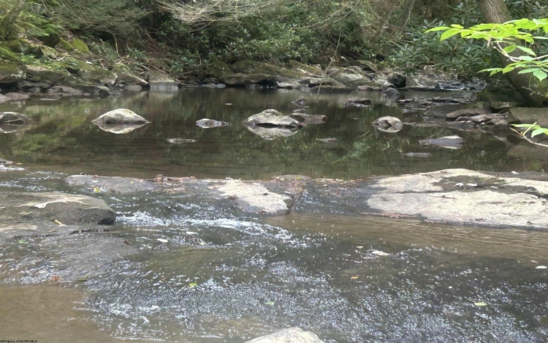 TBD Tom Turner Road, Independence, West Virginia 26374, ,Lots/land,For Sale,Tom Turner,10161532