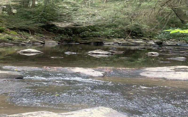 TBD Tom Turner Road, Independence, West Virginia 26374, ,Lots/land,For Sale,Tom Turner,10161532