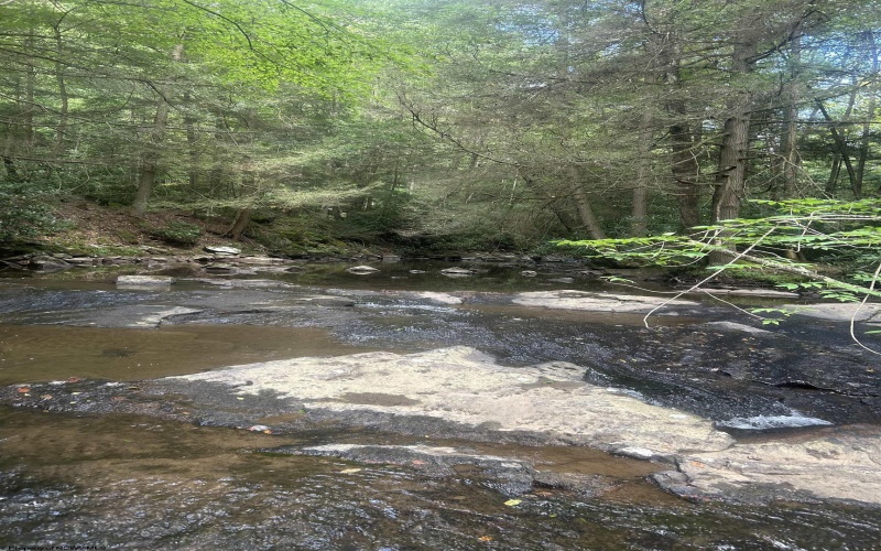 TBD Tom Turner Road, Independence, West Virginia 26374, ,Lots/land,For Sale,Tom Turner,10161532