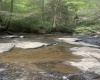 TBD Tom Turner Road, Independence, West Virginia 26374, ,Lots/land,For Sale,Tom Turner,10161532
