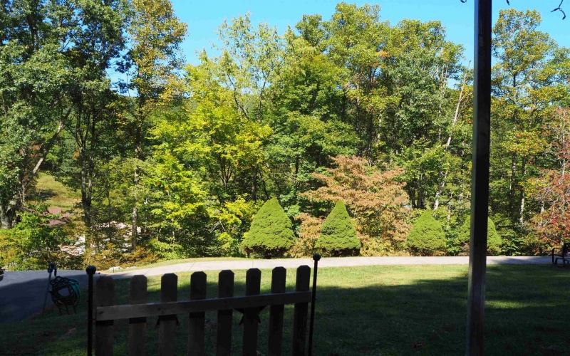 2458 Halls Run Road, Bristol, West Virginia 26426, 3 Bedrooms Bedrooms, 6 Rooms Rooms,2 BathroomsBathrooms,Single Family Detached,For Sale,Halls Run,10161533