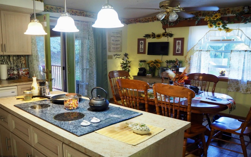2458 Halls Run Road, Bristol, West Virginia 26426, 3 Bedrooms Bedrooms, 6 Rooms Rooms,2 BathroomsBathrooms,Single Family Detached,For Sale,Halls Run,10161533