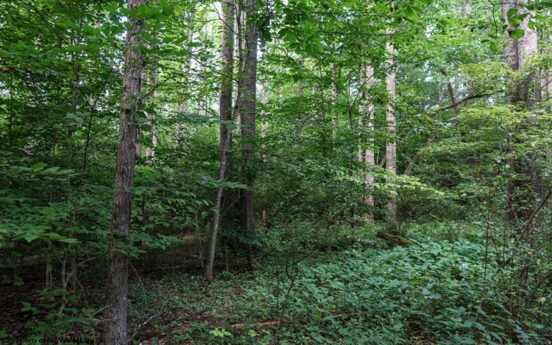 TBD Highland Bridge Road, Clarksburg, West Virginia 26301, ,Lots/land,For Sale,Highland Bridge,10161538