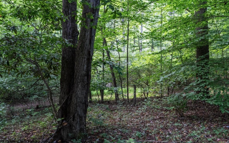 TBD Highland Bridge Road, Clarksburg, West Virginia 26301, ,Lots/land,For Sale,Highland Bridge,10161538