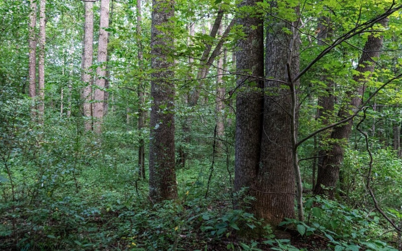 TBD Highland Bridge Road, Clarksburg, West Virginia 26301, ,Lots/land,For Sale,Highland Bridge,10161538