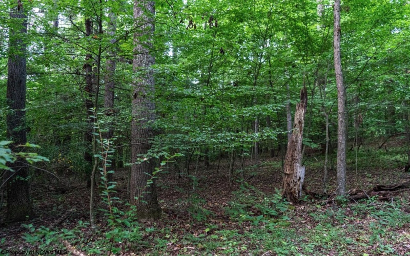 TBD Highland Bridge Road, Clarksburg, West Virginia 26301, ,Lots/land,For Sale,Highland Bridge,10161538