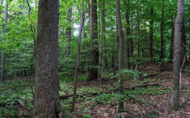 TBD Highland Bridge Road, Clarksburg, West Virginia 26301, ,Lots/land,For Sale,Highland Bridge,10161538