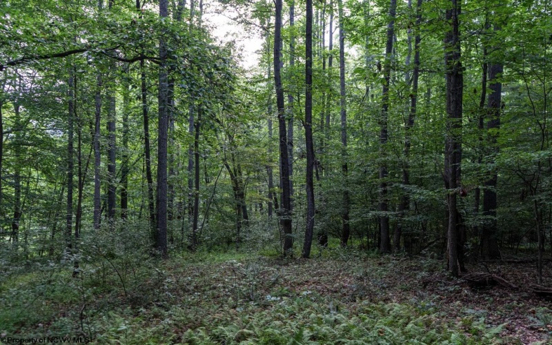 TBD Highland Bridge Road, Clarksburg, West Virginia 26301, ,Lots/land,For Sale,Highland Bridge,10161538