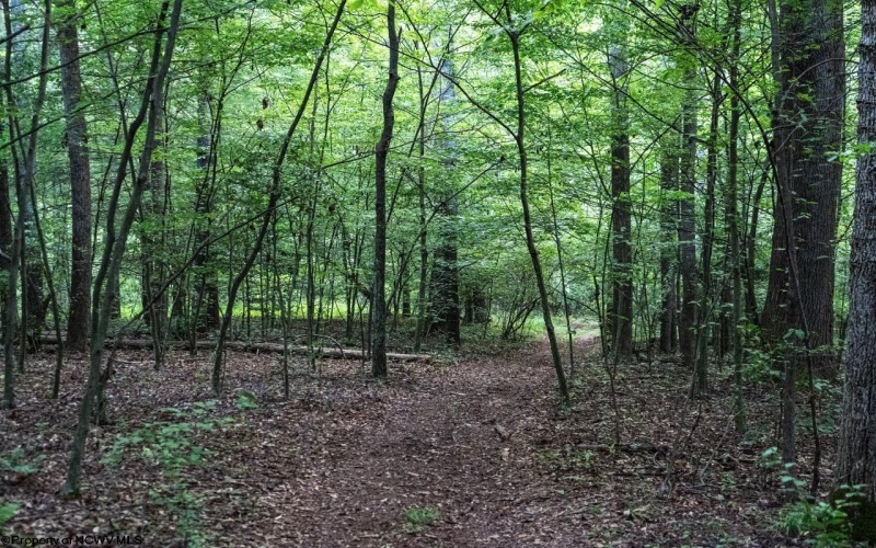 TBD Highland Bridge Road, Clarksburg, West Virginia 26301, ,Lots/land,For Sale,Highland Bridge,10161538
