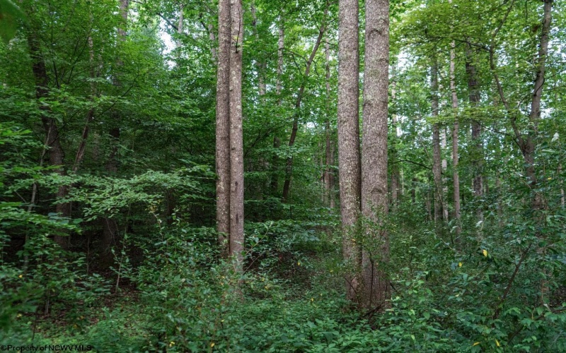 TBD Highland Bridge Road, Clarksburg, West Virginia 26301, ,Lots/land,For Sale,Highland Bridge,10161538