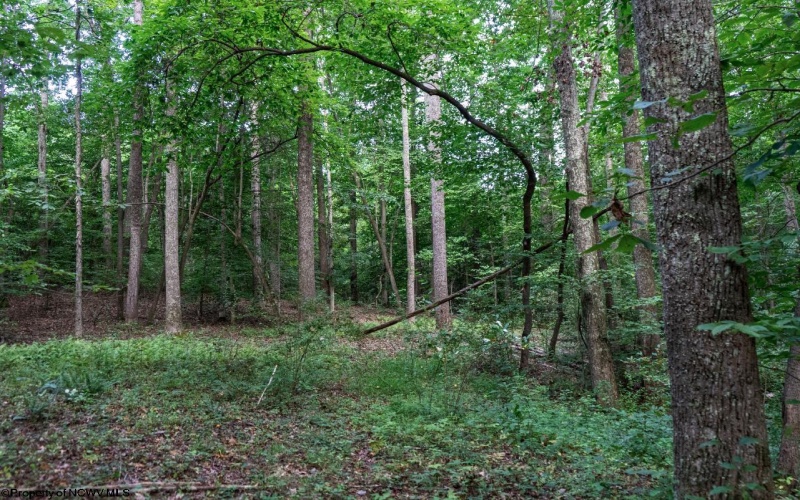 TBD Highland Bridge Road, Clarksburg, West Virginia 26301, ,Lots/land,For Sale,Highland Bridge,10161538