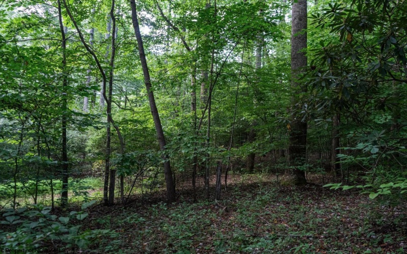TBD Highland Bridge Road, Clarksburg, West Virginia 26301, ,Lots/land,For Sale,Highland Bridge,10161538