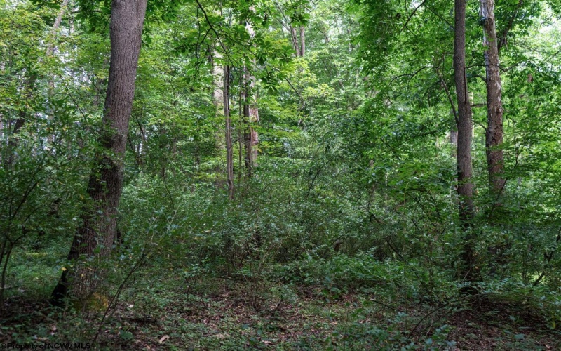 TBD Highland Bridge Road, Clarksburg, West Virginia 26301, ,Lots/land,For Sale,Highland Bridge,10161538