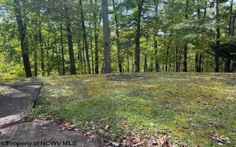 242 Bearhunter Estates, Elkins, West Virginia 26241, 4 Bedrooms Bedrooms, 11 Rooms Rooms,2 BathroomsBathrooms,Single Family Detached,For Sale,Bearhunter,10161557
