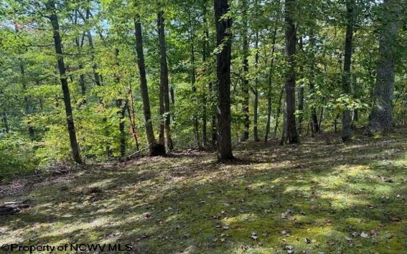 242 Bearhunter Estates, Elkins, West Virginia 26241, 4 Bedrooms Bedrooms, 11 Rooms Rooms,2 BathroomsBathrooms,Single Family Detached,For Sale,Bearhunter,10161557
