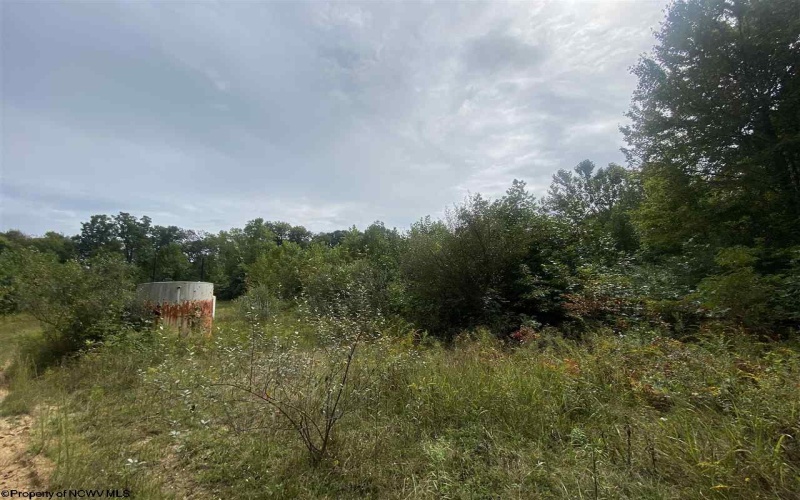 TBD Helen's Run Road, Worthington, West Virginia 26591, ,Lots/land,For Sale,Helen's Run,10161542