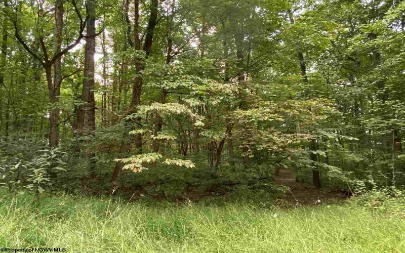 TBD Helen's Run Road, Worthington, West Virginia 26591, ,Lots/land,For Sale,Helen's Run,10161542