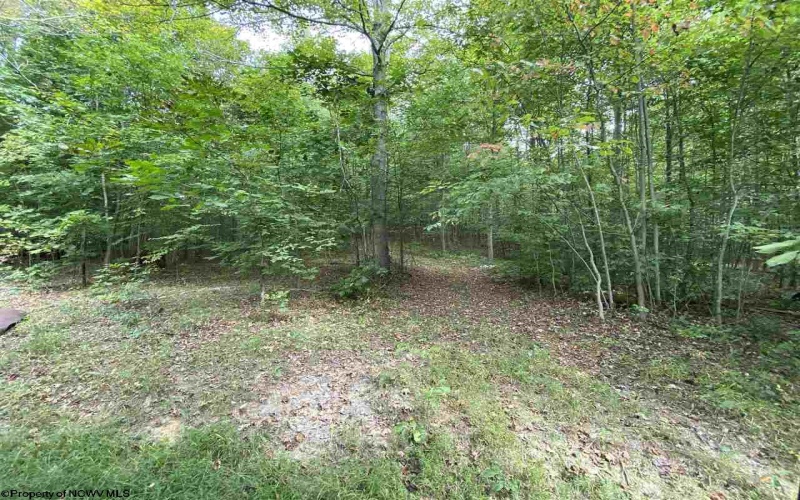TBD Helen's Run Road, Worthington, West Virginia 26591, ,Lots/land,For Sale,Helen's Run,10161542