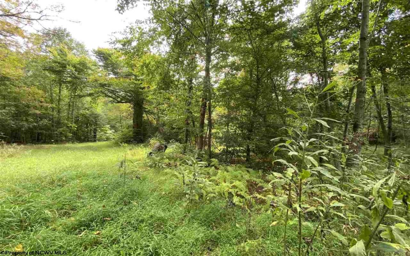 TBD Helen's Run Road, Worthington, West Virginia 26591, ,Lots/land,For Sale,Helen's Run,10161542