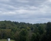TBD Helen's Run Road, Worthington, West Virginia 26591, ,Lots/land,For Sale,Helen's Run,10161542