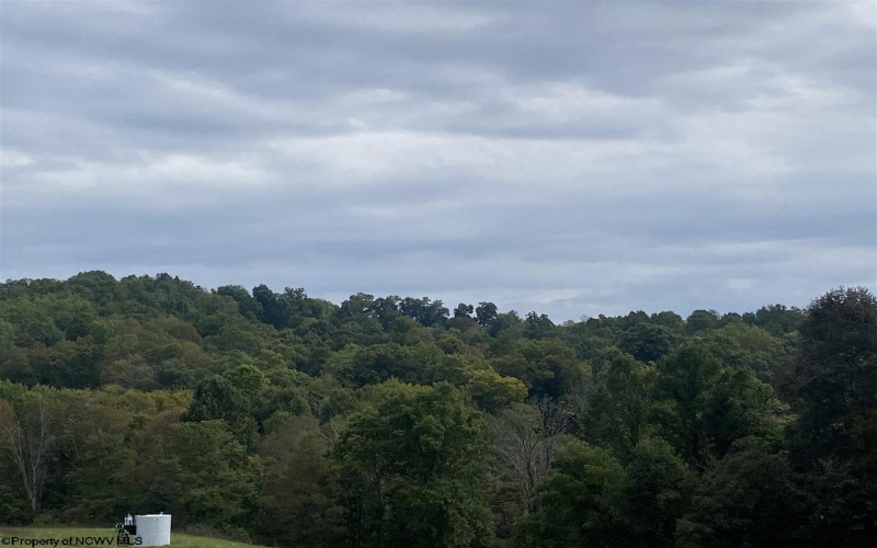 TBD Helen's Run Road, Worthington, West Virginia 26591, ,Lots/land,For Sale,Helen's Run,10161542