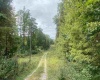 TBD Helen's Run Road, Worthington, West Virginia 26591, ,Lots/land,For Sale,Helen's Run,10161542