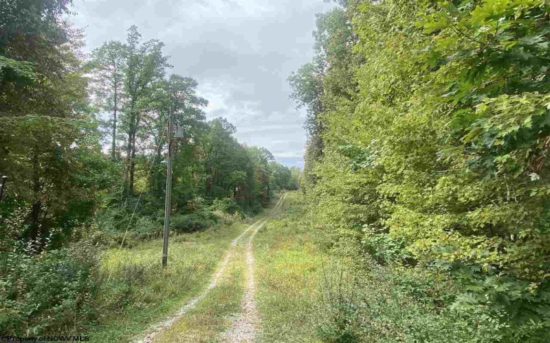TBD Helen's Run Road, Worthington, West Virginia 26591, ,Lots/land,For Sale,Helen's Run,10161542